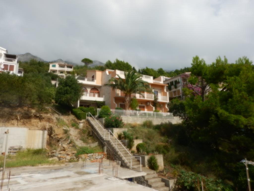 Kapetan Jure