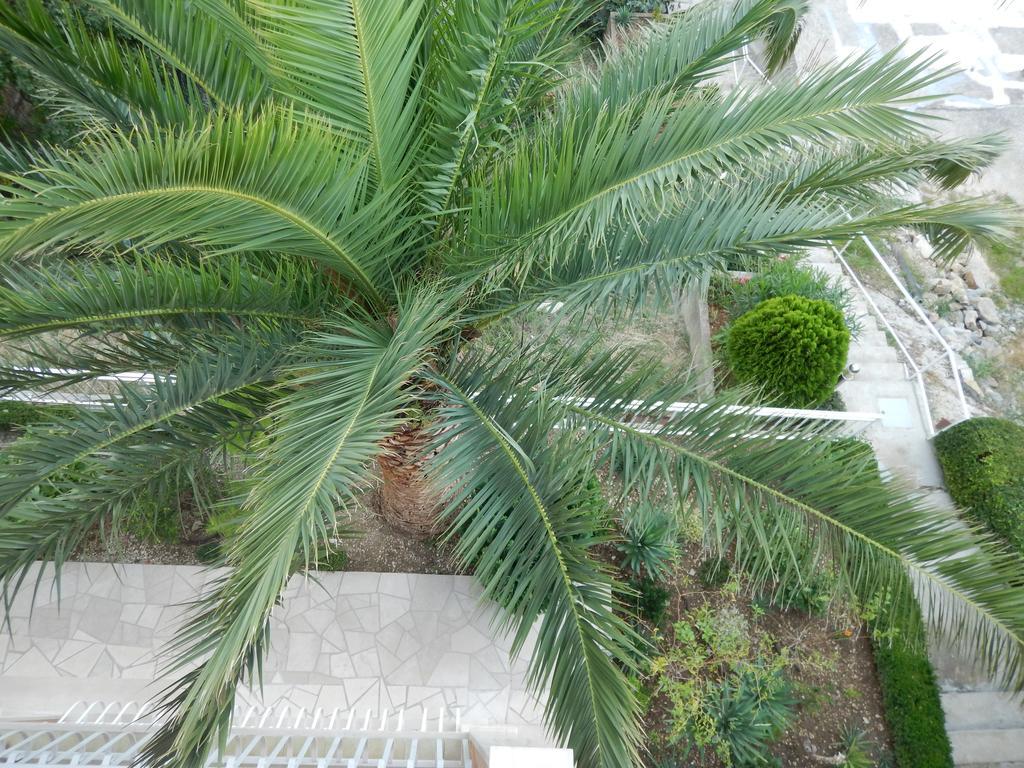 Apartment Kapetan Jure *